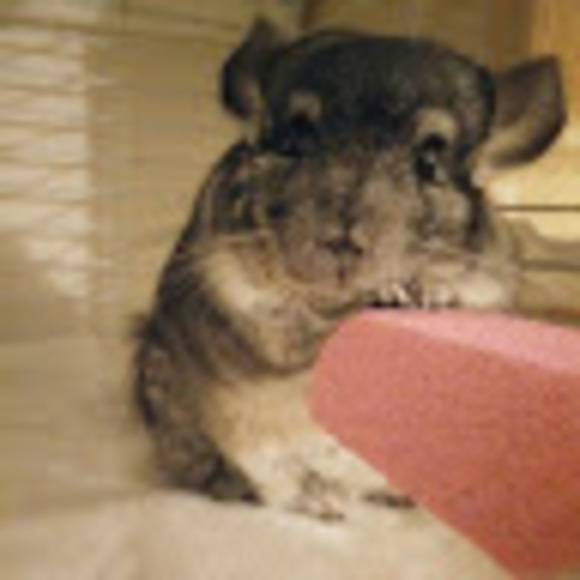 Meet your Posher, Renée - Picture 1 of 1